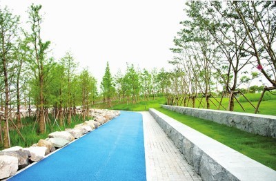 景觀提升項目投標文件 園林綠化工程設(shè)計及施工一體化方案